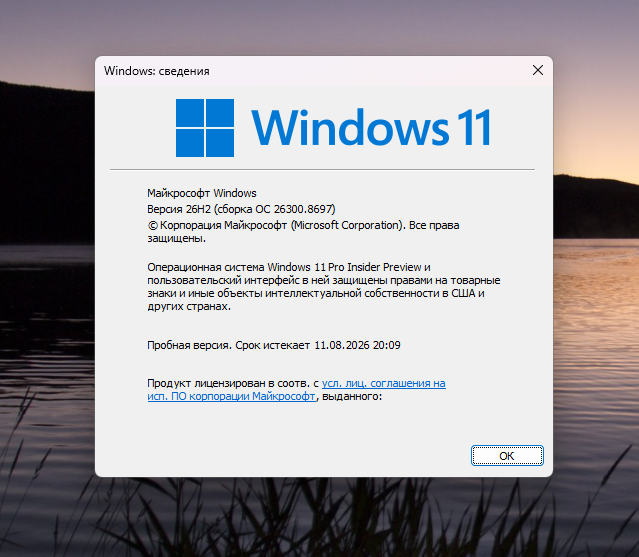winver с новой версией Windows